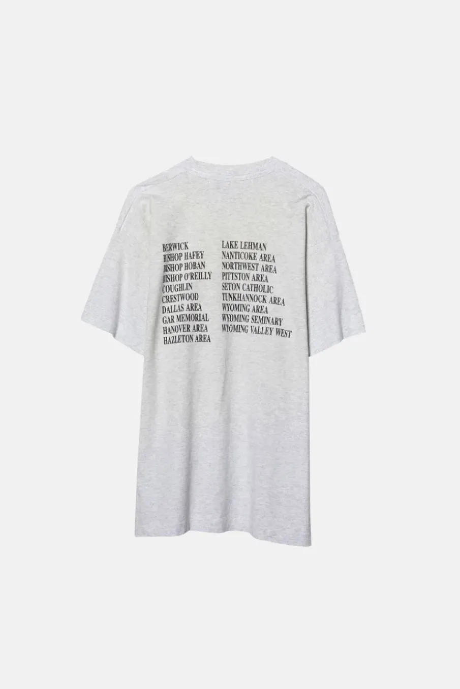 VINTAGE 95' WYOMING VALLEY TEE - L